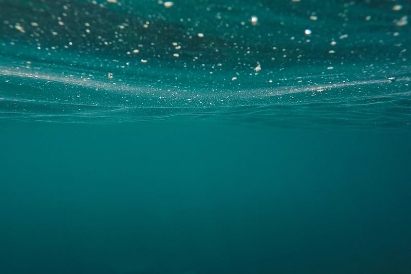 Mermaid Haven